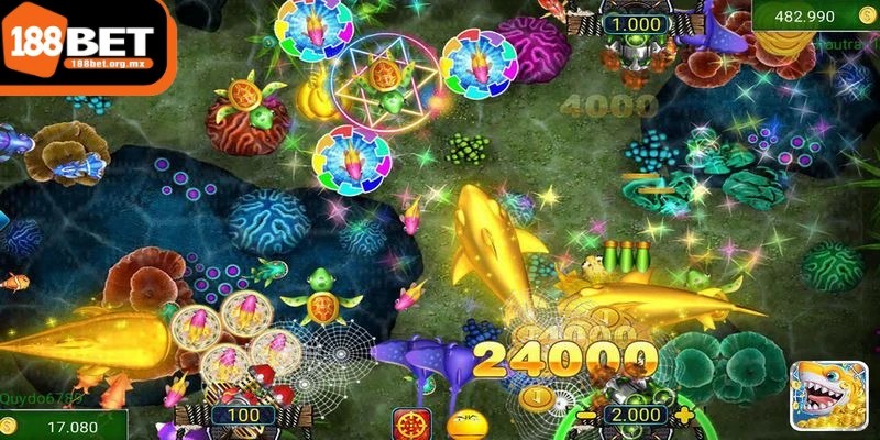 Anh em nên áp dụng một số chiến lược hiệu quả để nâng cao hiệu quả săn cá